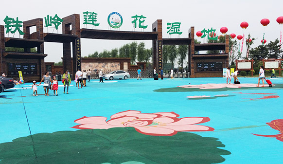來(lái)蓮花濕地公園漫步，感受腳下生花